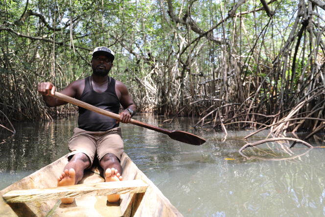 Arnaud Gogoua, guide depuis plus de vingt ans, pagaye sur le fleuve Sassandra bordé de mangroves, en Côte d’Ivoire.