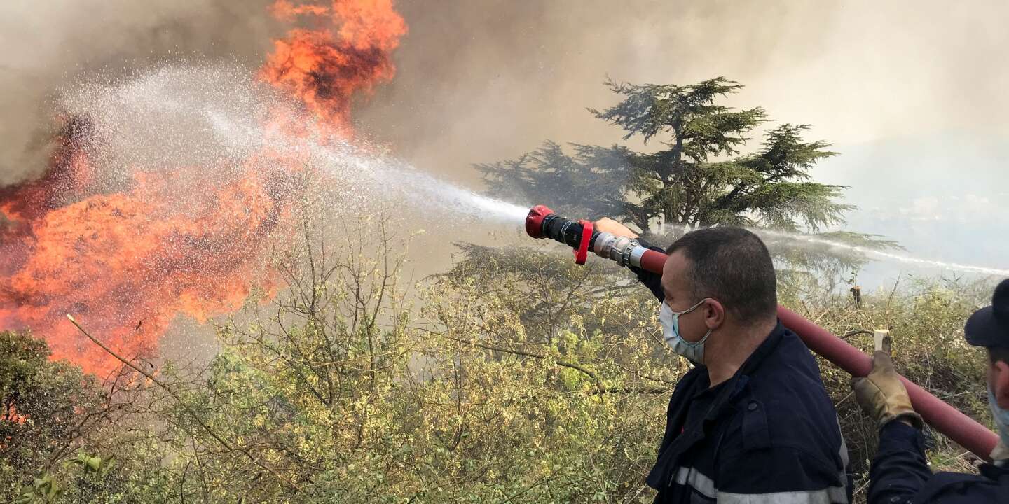 Photo of los incendios continúan devastando el norte del país, el número de víctimas aumenta