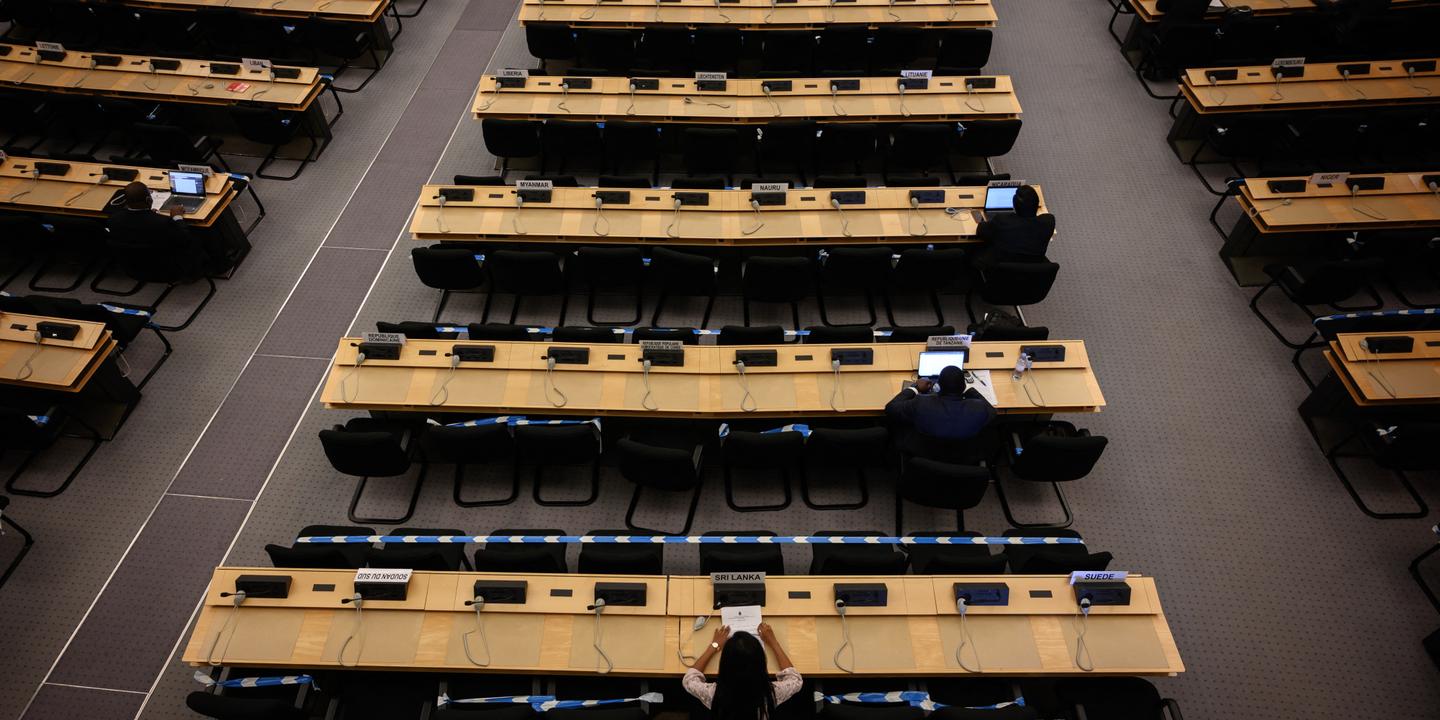 Francja bojkotuje konferencję ONZ w Durbanie na temat rasizmu