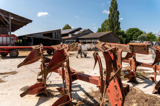 Melaine Travert va nourrir les porcs de la ferme avec une partie des céréales récoltés, la ferme de la Guilbardière, à Monthou-sur-Bièvre (Loir-et-Cher), le 11 août 2021.