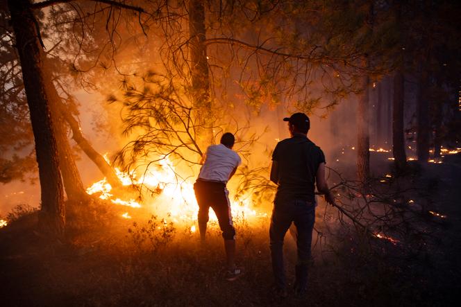 Residents try to fight the fire near Chefchaouen, Morocco, August 15, 2021.