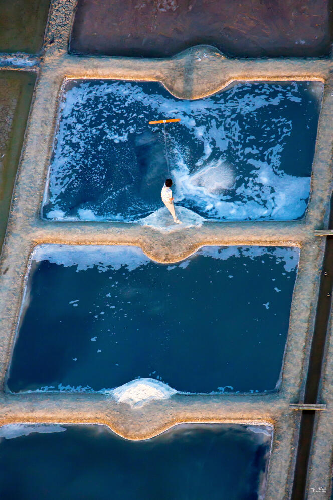 Récolte de sel cristallisé à la surface d’un bassin, dans les salines de Guérande.