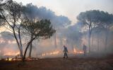Firefighters walk in a forest during a wildfire, near Gonfaron, in the department of Var, southern France, on August 17, 2021. Thousands of people, including tourists in campsites, have been evacuated as a wildfire raged near the plush resort of Saint-Tropez in southern France, the fire service said on August 17. Around 750 firefighters and water-droppping aircraft were battling the blaze in difficult conditions, with high temperatures and strong winds. (Photo by NICOLAS TUCAT / AFP) 