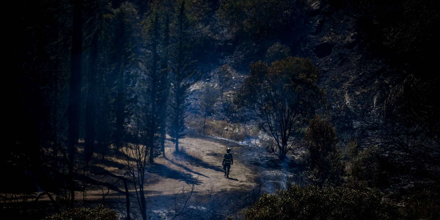 Em Portugal, um grande incêndio florestal confinado ao Algarve