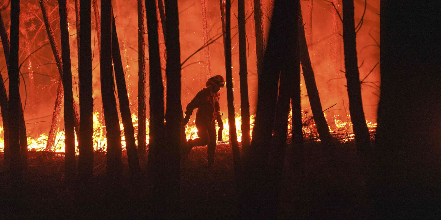 Photo of En Portugal, el Algarve en las garras de un enorme incendio forestal