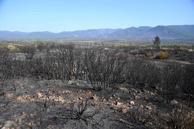 The fire started on Monday afternoon from an area on Highway 57, northeast of Toulon.