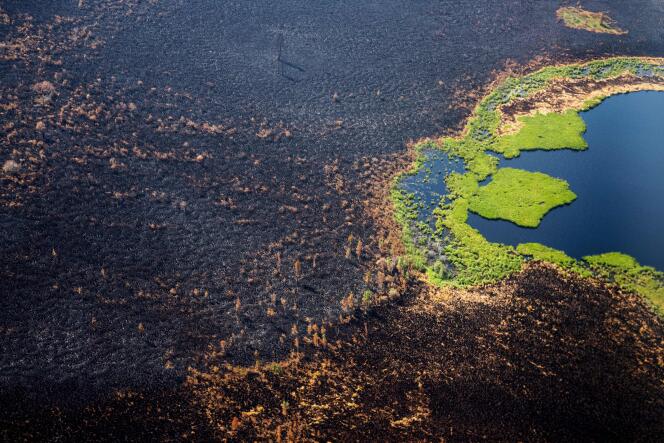 Vue aérienne d’une forêt brûlée dans la région de Gorny Ulus, en Sibérie (Russie), le 27 juillet 2021.