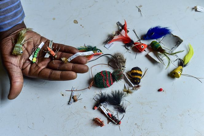 PLC Pêche à la mouche - Cannes à mouche ORVIS