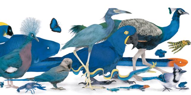 Trois livres jeunesse sur de drôles de bestioles