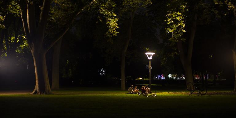 Strasbourg fights light pollution at night. Strasbourg lutte la nuit contre la pollution lumineuse. Rencontre avec les élus et bénévoles souhaitant réduire les désagréments des villes trop éclairées.