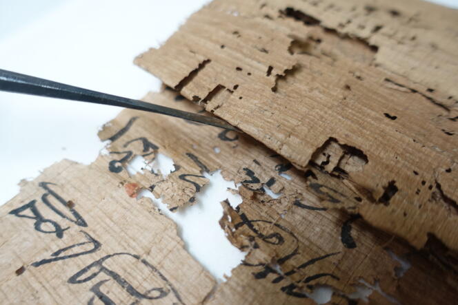 Ce papyrus est un « cahier d’exercice » d’étudiants scribes, en écriture hiératique.