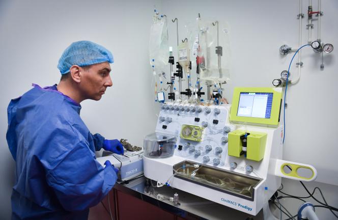Un technicien fabrique des cellules dans un laboratoire de l’institut Paoli-Calmettes (IPC), à Marseille en mars 2019.