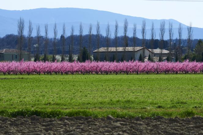 Dans la vallée de la Drôme, près de Valence, le 17 mars 2017.
