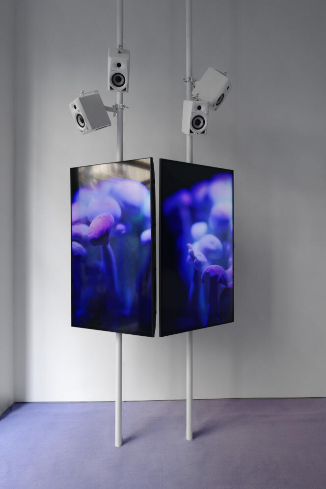 Vue de l’exposition d’Angelica Mesiti, « Over The Air and Underground », à la galerie Allen, à Paris, le 3 septembre 2021.