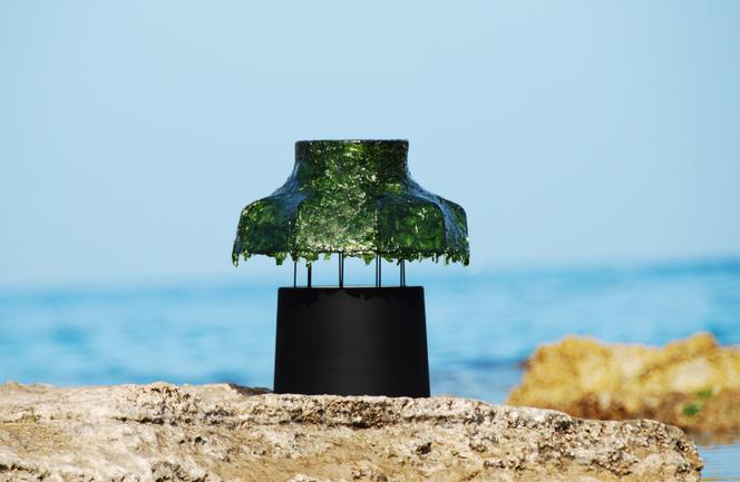 « Marine Light », lampe du designer Nir Meiri réalisée à base d’algues vertes.