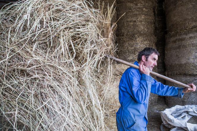 Dans une exploitation agricole de Fontaines-les-Sèches (Côte-d’Or), en 2015.