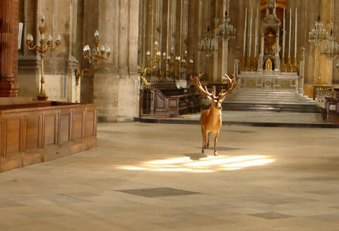 En juillet 2014, l'artiste franco-britannique Leonora Hamill avait lâché un cerf vivant dans l'église, dans le cadre d'une installation vidéo appelée Furtherance.