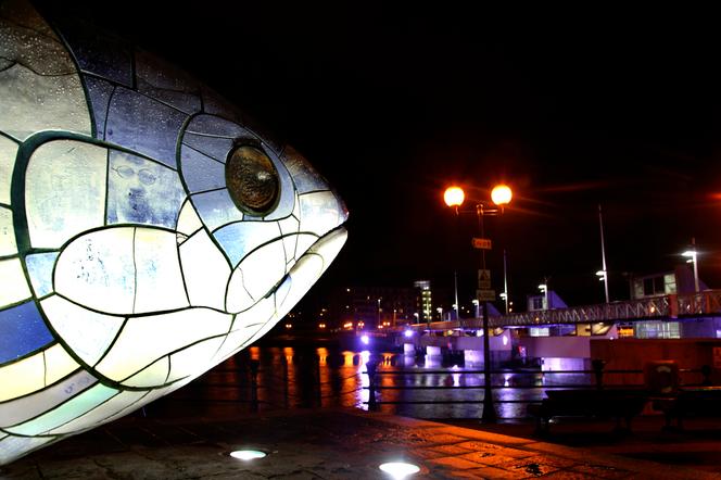 « The Salmon of knowledge » (« le saumon de la sagesse »), sculpture en céramique érigée en 1999 au bord du fleuve Lagan, à Belfast.