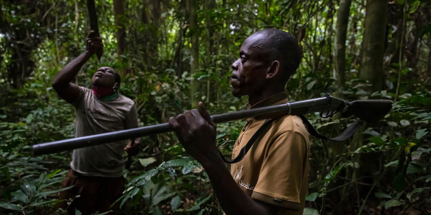 Au Gabon Les Chasseurs De Brousse Sous Surveillance au-gabon-les-chasseurs-de-brousse-sous-surveillance