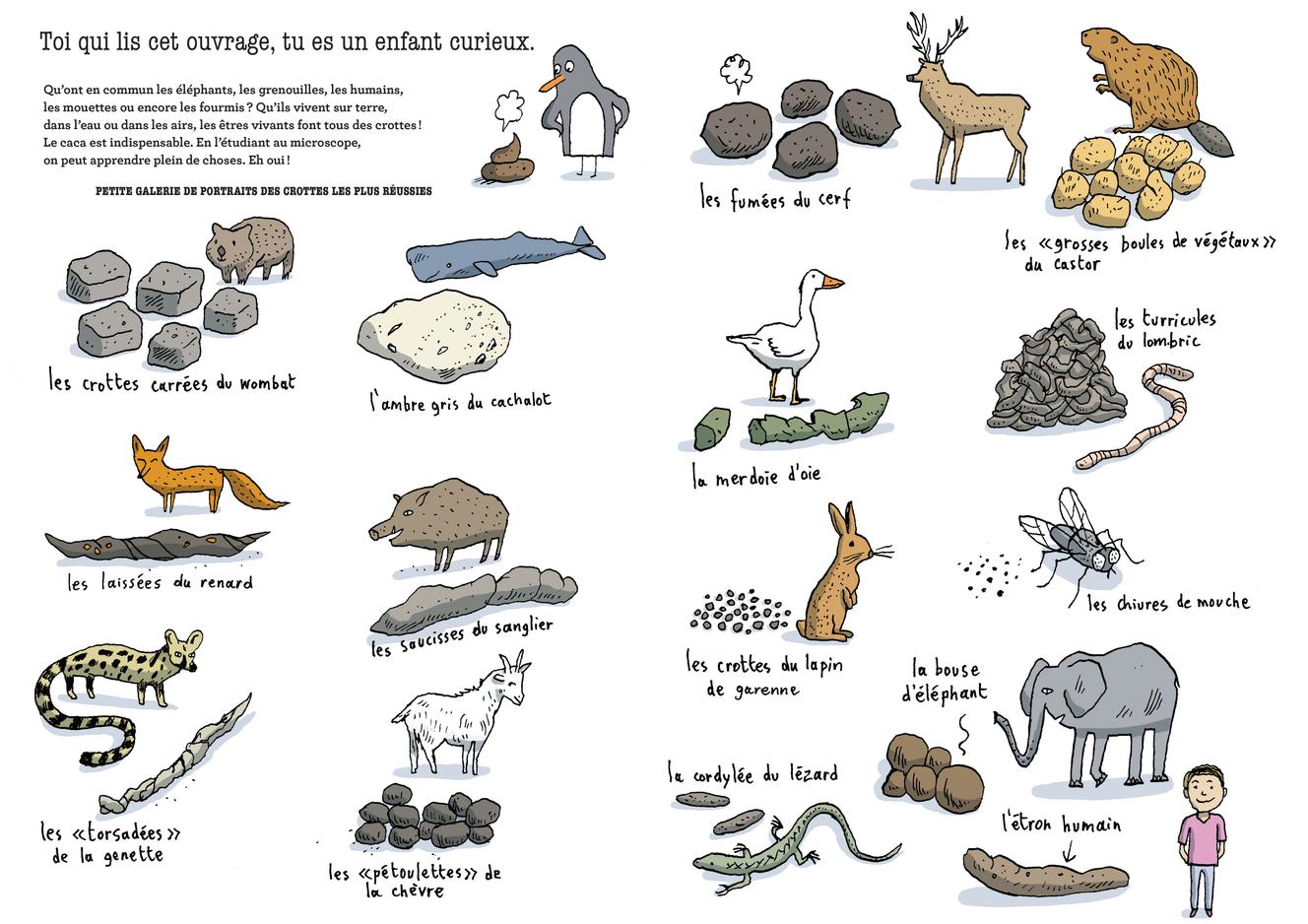 La Grande Fabrique à crottes, de Nadja Belhadj et Philippe de Kemmeter.