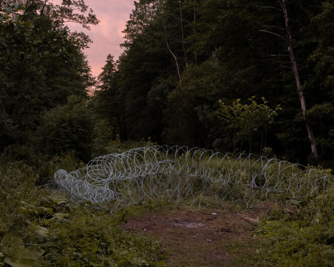 Barbed wire fence at the Polish-Belarusian border in Krynki, Podlasie region, Poland, September 24, 2021.