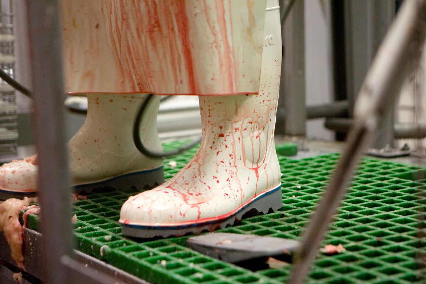 www.lemonde.fr