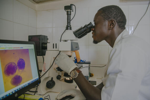 Waly Ndiaye, chercheur en aquaculture à l’Institut sénégalais de recherche agricole (ISRA), observe une microalgue marine au microscope dans le laboratoire humide de Hann, à Dakar, le 20 octobre 2021.