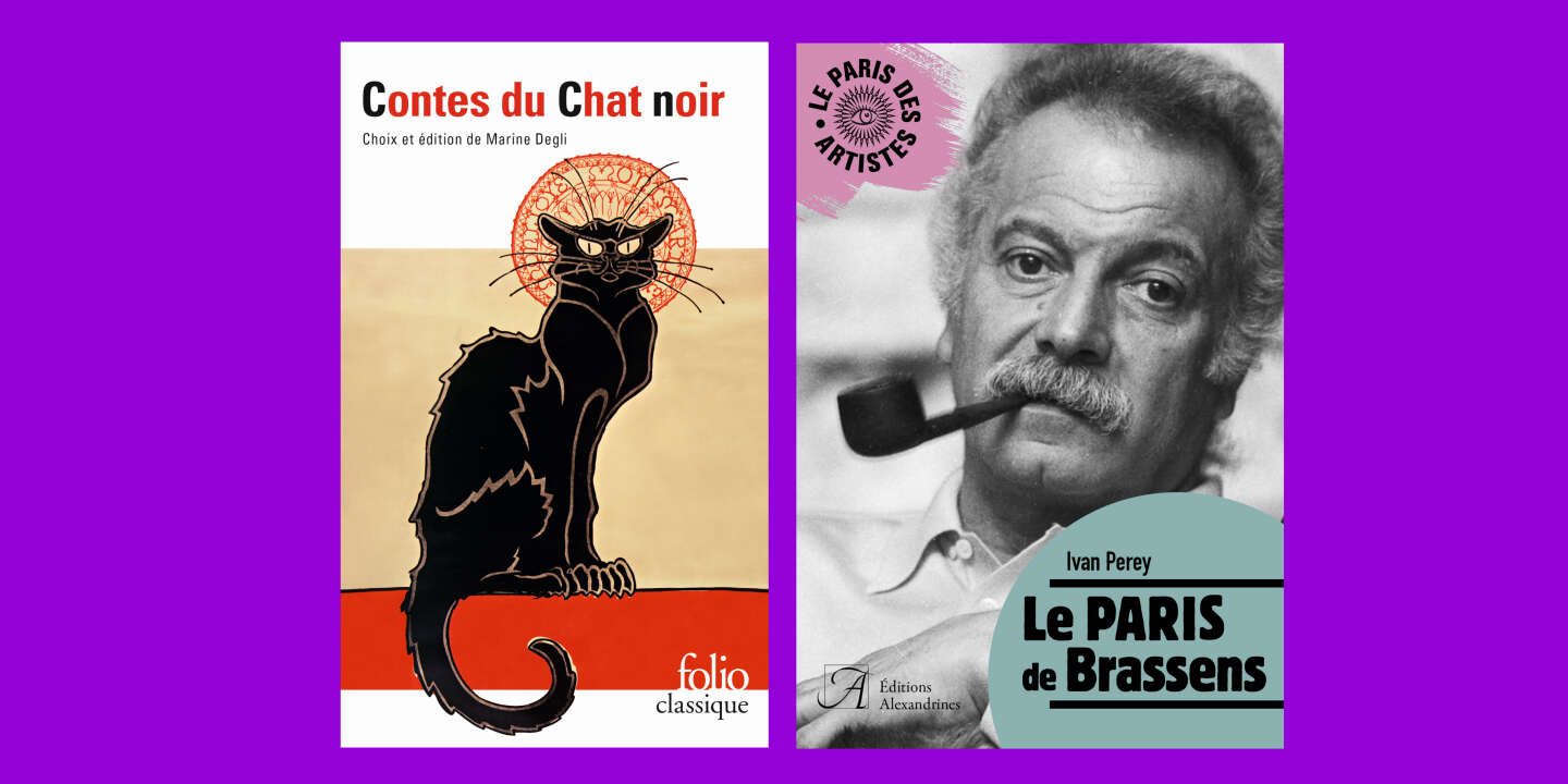 Le Chat Noir Brassens La Chronique Poches De Francois Angelier