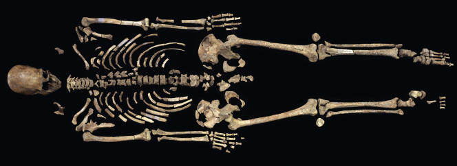 Le fossile de l’homme de Kennewick, vieux de 8500 ans.
