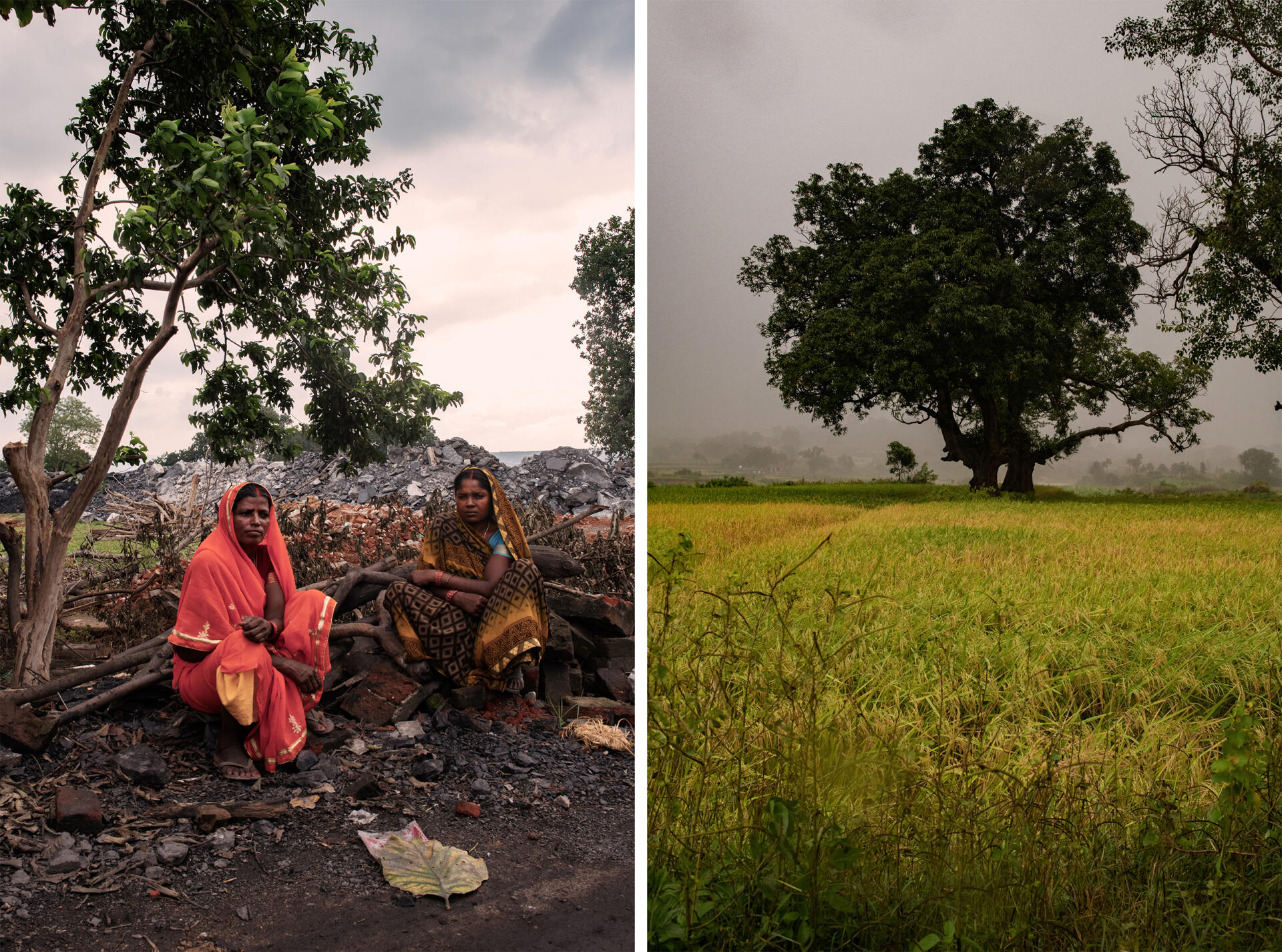 Mohri Devi, 58 ans, et Vidha Devi, 32 ans, vivaient ici à Alagdiha, où la mine est exploitée par NTPC. Elles ont été déplacées vers un village voisin cette année. A droite, un champ cultivé par les habitants à Gandulpara (Inde), le 17 octobre 2021. Le groupe Adani essaie maintenant d’acquérir les terres des villageois.