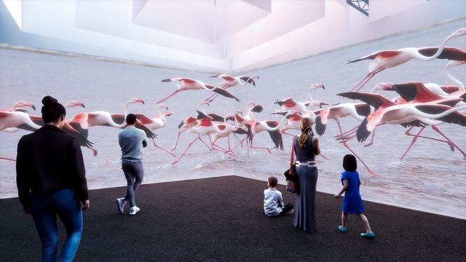 Représentation de l’alvéole « Décollage avec les oiseaux nomades », exposition « L’Odyssée sensorielle », au Muséum d’histoire naturelle, à Paris.