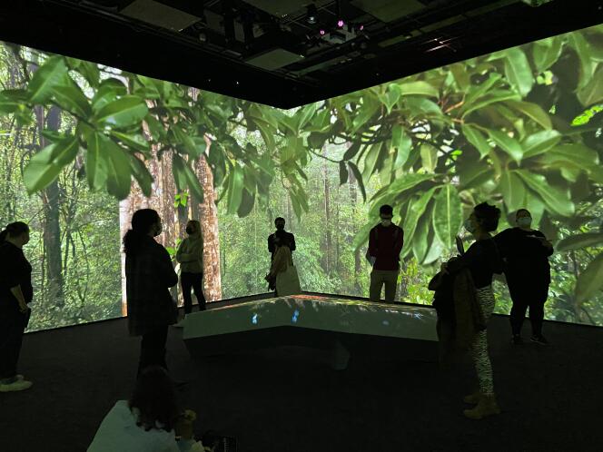 Vue de la salle « La Forêt tropicale, de haut en bas » dans le cadre de l’exposition « L’Odyssée sensorielle », au Muséum national d’histoire naturelle de Paris, le 19 octobre 2021.