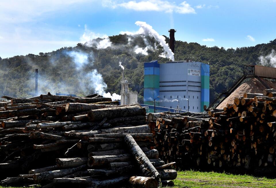 A photo shows a view of the site of the Fibre Excellence paper company in Saint-Gaudens, southwestern France, on September 28, 2020. - The company is a subsidiary of the Canadian company Paper Excellence owned by Jackson Widjaja whom family run Indonesian giant Asia Pulp and Paper. (Photo by GEORGES GOBET / AFP)