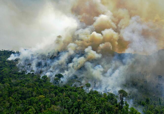 Au sud de Novo Progresso (Brésil), la forêt amazonienne en feu, en août 2020.