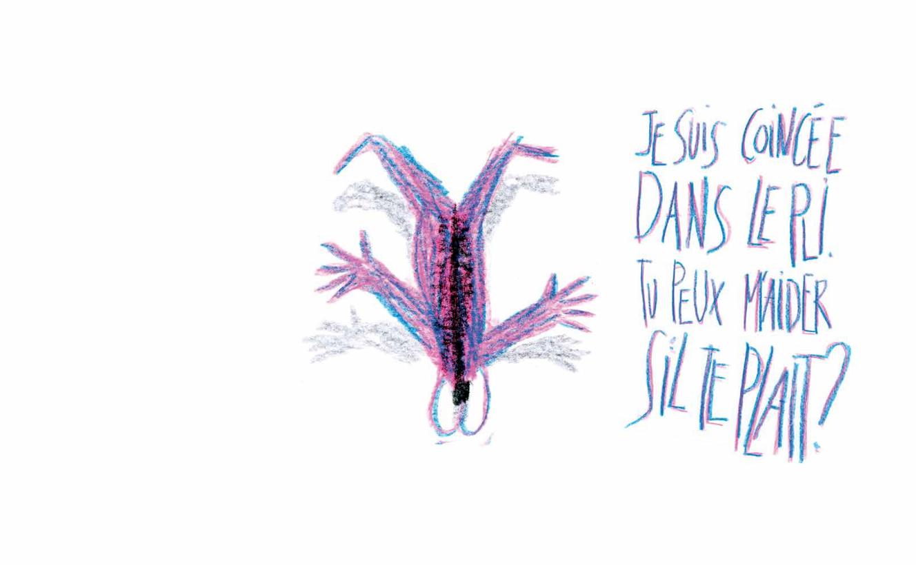 « La Petite Créature », de Marjolaine Leray.