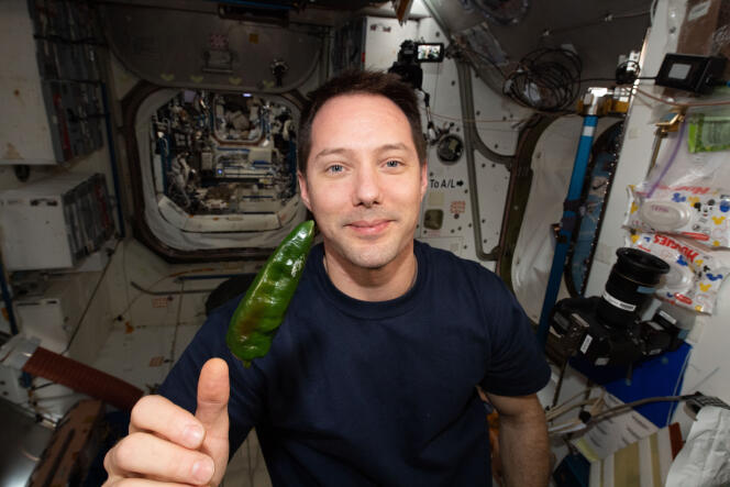 Thomas Pesquet posant avec l’un des piments cultivés dans la Station spatiale internationale, le 29 octobre 2021.
