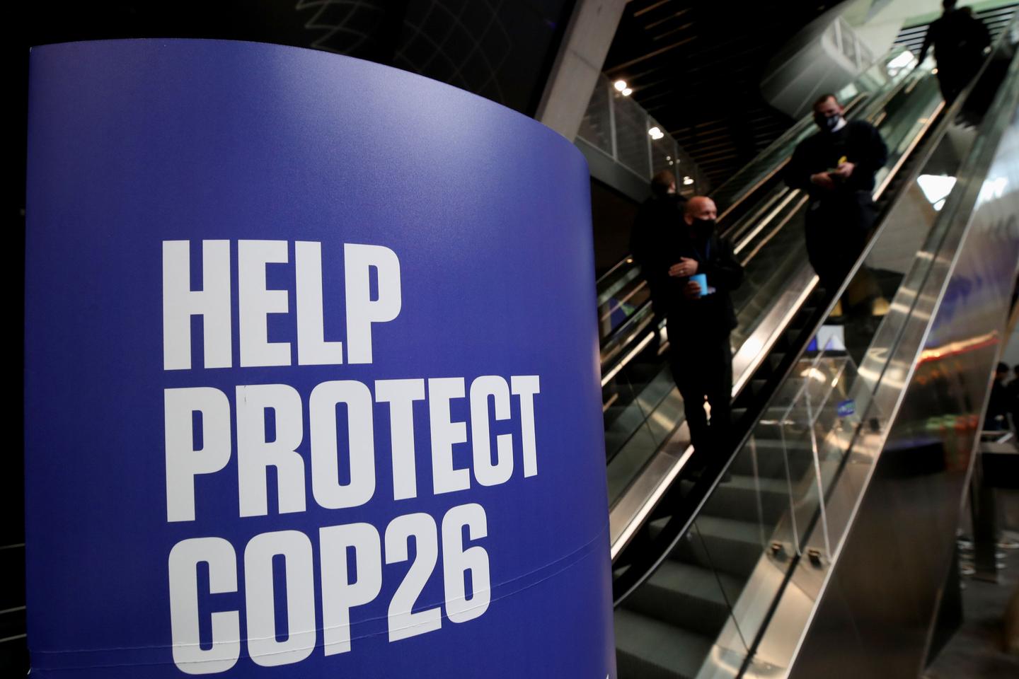 Un an après les promesses de Glasgow, la lutte contre la déforestation reste insuffisante