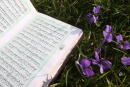 Le Coran ouvert dans l'herbe. France.
