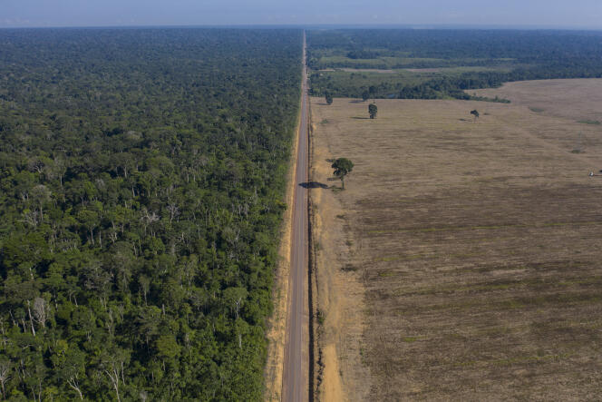 Selon l’Agence des Nations unies pour l’agriculture et l’alimentation (FAO), environ 420 millions d’hectares de forêts, soit une superficie plus vaste que l’UE, ont été déboisés entre 1990 et 2020.  Ici,  l’autoroute BR-163 dans l’Etat de Para, au Brésil, le 25 novembre 2019.
