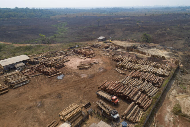 Área destruida cerca de Porto Velho (Brasil) en septiembre de 2019.
