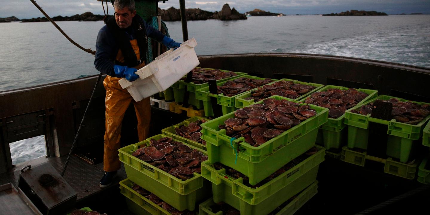 Droits de pêche : l’Union européenne et le Royaume-Uni s’accordent pour une valeur de 1,2 milliard d’euros en 2026