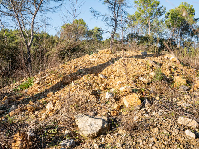 Le terrain d’une des victimes de l’affaire des « déballes » sauvages de remblais, à Trans-en-Provence (Var), le 18 novembre 2021.
