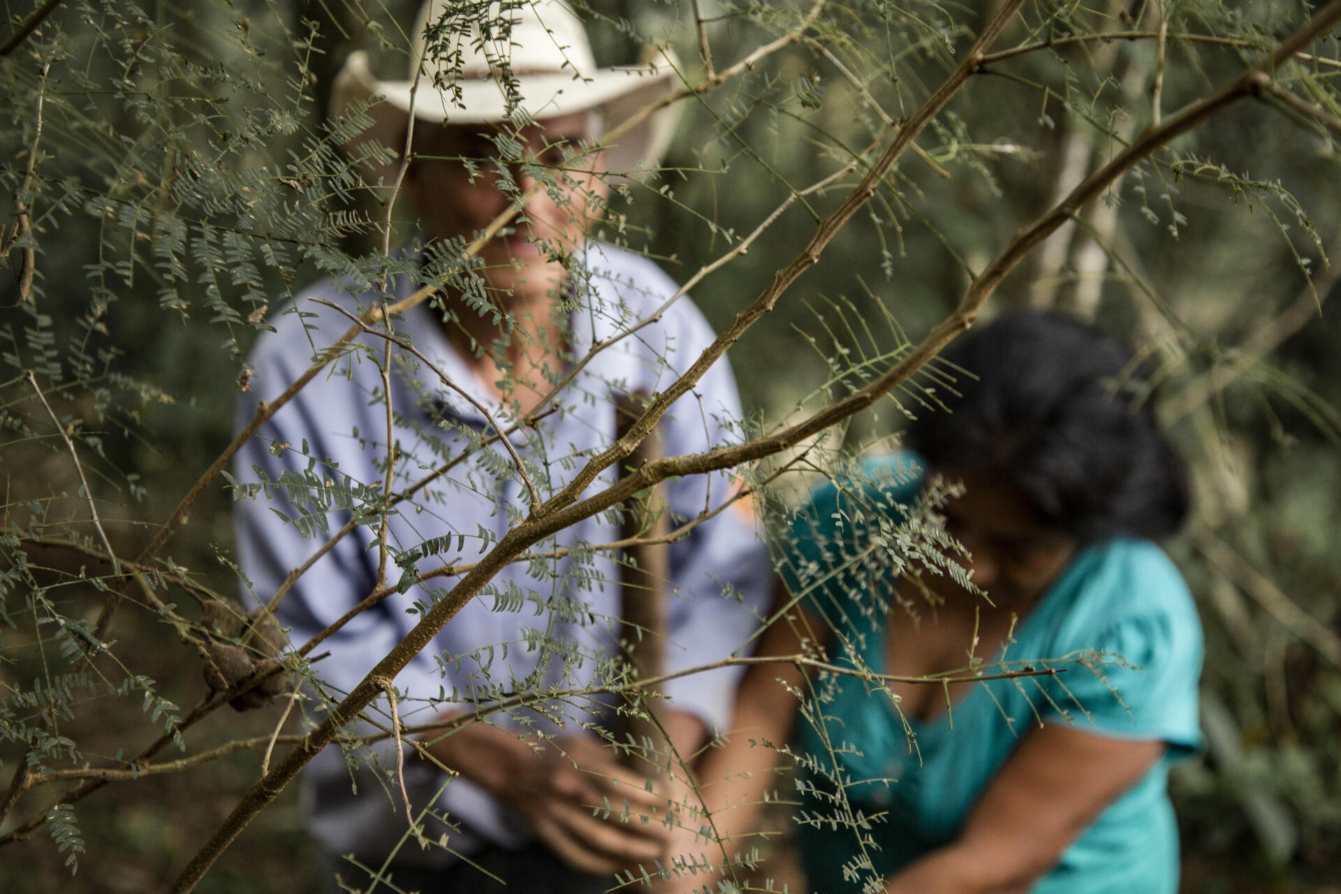 Rosalina García Sánchez and her husband Juanito García, beneficiaries of the “Sembrando vida” program, in José María Morelos, Chiapas, Mexico on November 17, 2021.