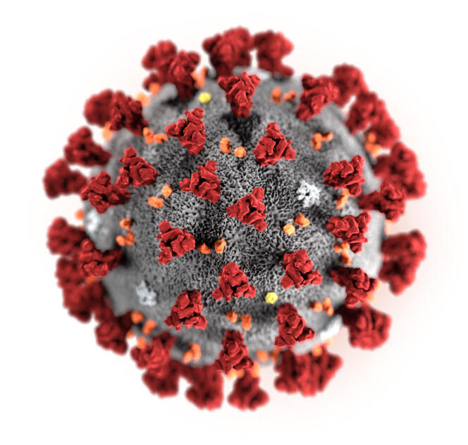 Illustration of the Novel Coronavirus 2019 (2019-nCoV), responsible for the COVID 19 pneumonia pandemic whose epicenter was located in Wuhan, China