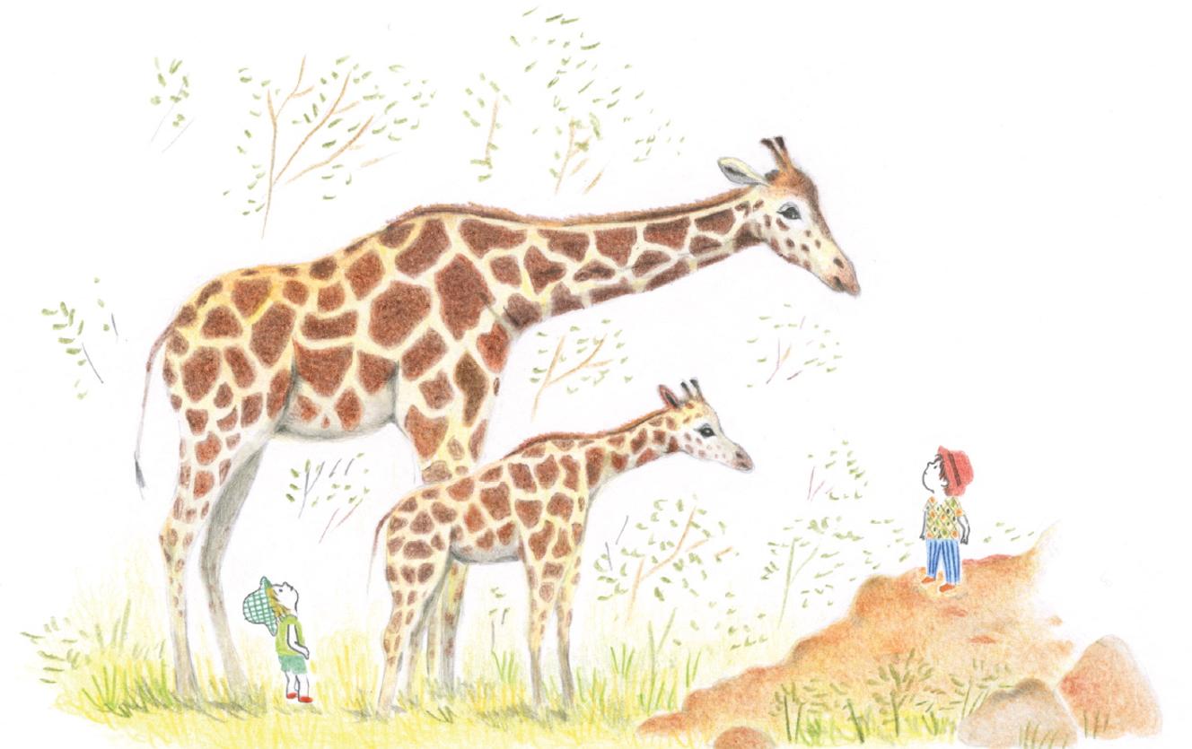 « Jeux pour animaux », de Camille Jourdy, Actes Sud, 80 p. , 16 €. Dès 3 ans.