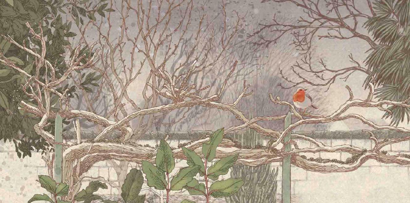 « Voyages dans mon jardin », de Nicolas Jolivot, HongFei, 216 p., 39 €. Dès 10 ans.