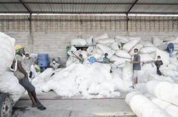 20211119-KINSHASA-Gombe-Groupe de travailleurs journaliers de la société Cleanplast qui se positionne comme la première société de recyclage en RDC