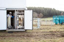 Le 30 novembre 2021 à Pressy-sous-Dondin en Sâone et Loire (71). Abattage d'une vache de Michel Dupaquier, éleveur de charolaises, dans l'abattoir mobile du boeuf ethique.
Photographie de Claire Jachymiak / Hans Lucas.