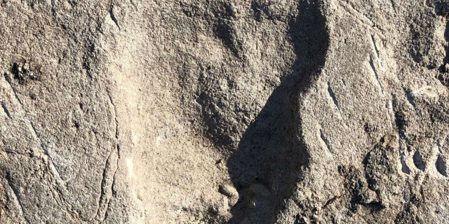 Photo of pasos enigmáticos de 3,6 millones de años