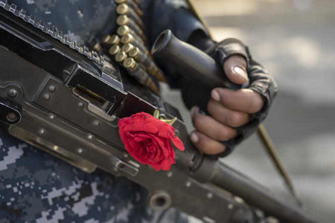L’arme d’un soldat taliban qui y a accroché une rose, le 4 décembre 2021 à Kaboul. Les dirigeants talibans désirent acquérir une respectabilité internationale, mais un rapport d’ONG dénonce des « exécutions sommaires » d’anciens membres des forces de sécurités afghanes.